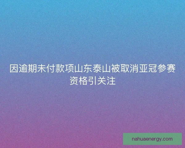 因逾期未付款项山东泰山被取消亚冠参赛资格引关注